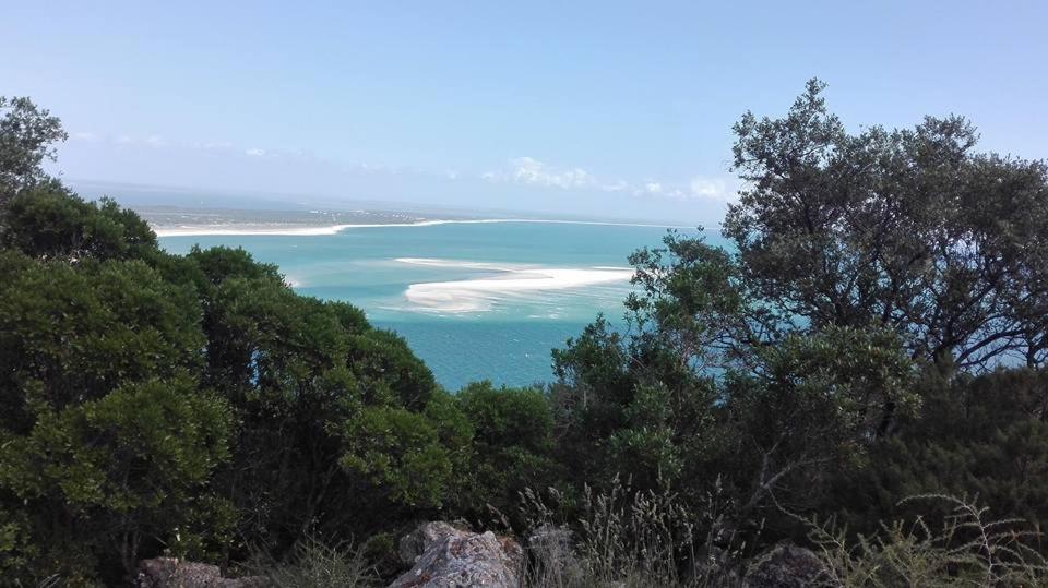 Lagoa de Albufeira Moradia Da Bananeiraヴィラ エクステリア 写真